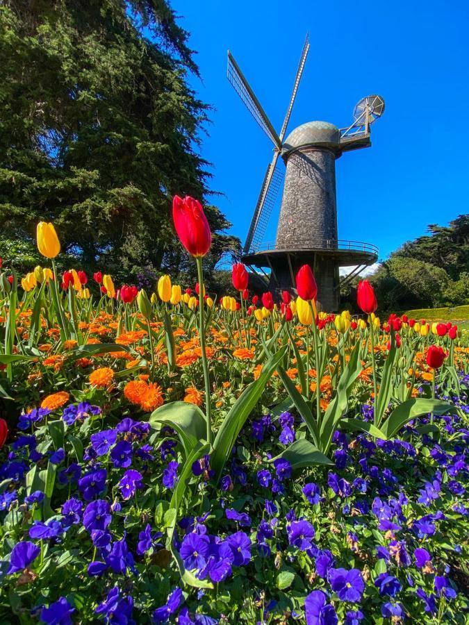 Golden Gate Park Suite San Francisco Esterno foto