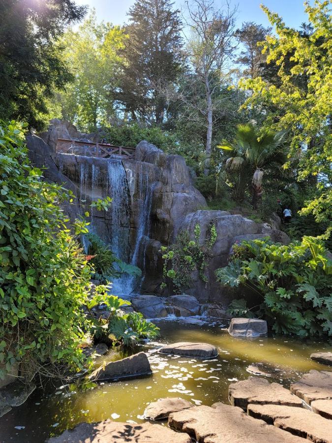 Golden Gate Park Suite San Francisco Esterno foto